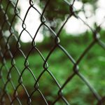 Garden Deer Netting: 7 Proven Tips to Avoid Costly Mistakes