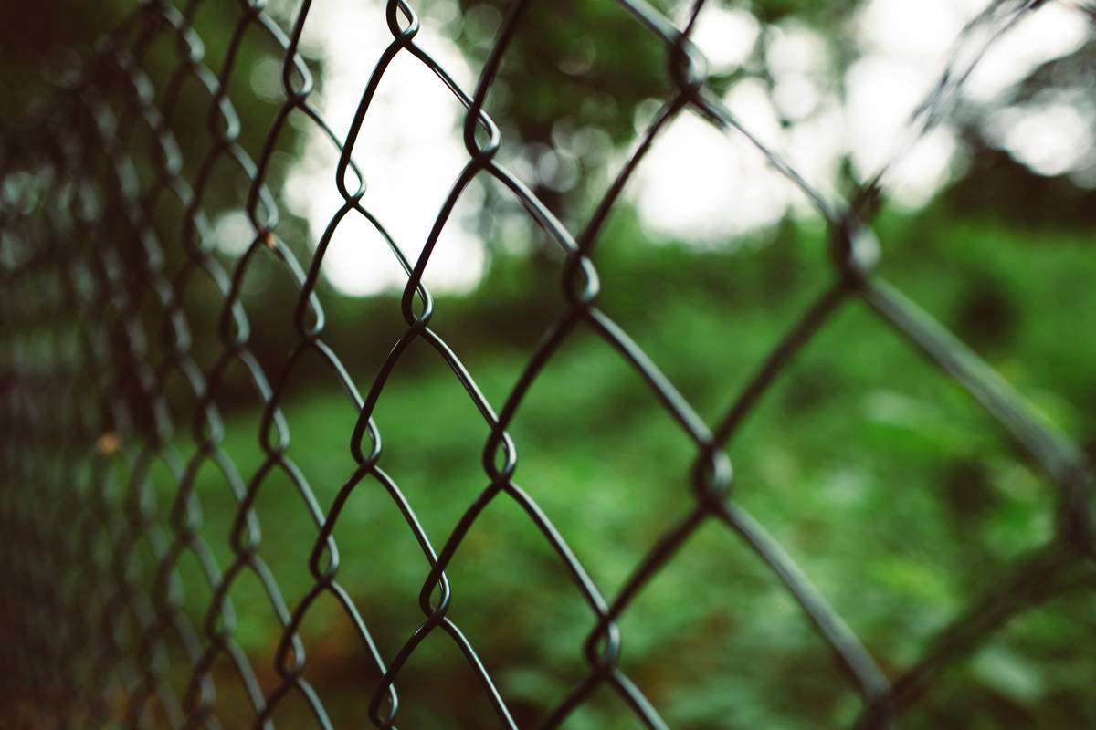 Garden Deer Netting: 7 Proven Tips to Avoid Costly Mistakes